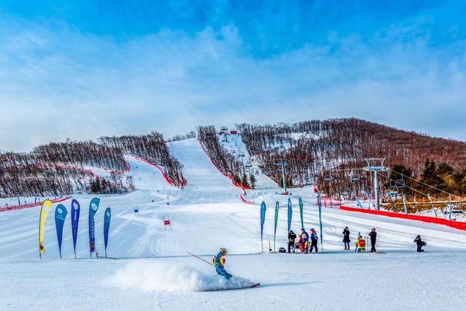 2024—2025年我国冰雪旅游发展特点j9九游会真人游戏第一热点观察 李宇：(图1)