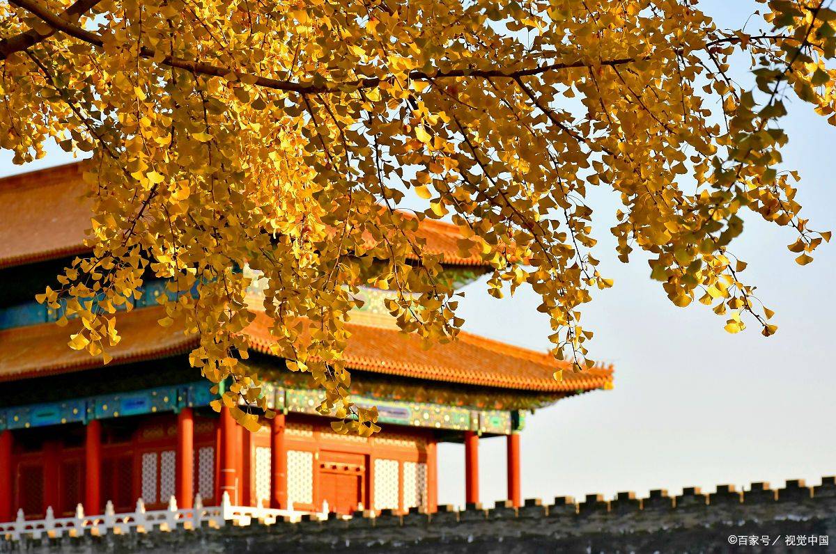 OP10推荐：私人订制与专属服务全解析九游会·j9网站北京高端定制游旅行社T(图3)