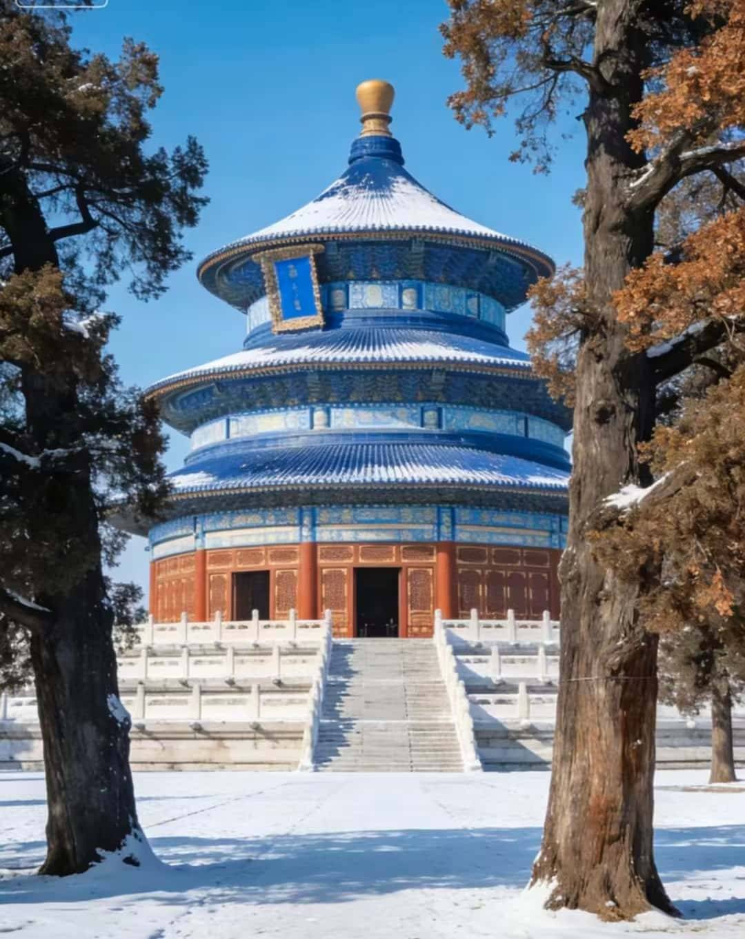 四晚亲子家庭私人定制亲测靠谱不踩坑必坑指南全分享j9九游会真人第一品牌北京定制游真实体验：五天(图2)