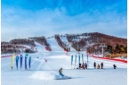 2024—2025年我国冰雪旅游发展特点